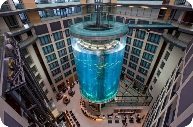 case-study-elevator